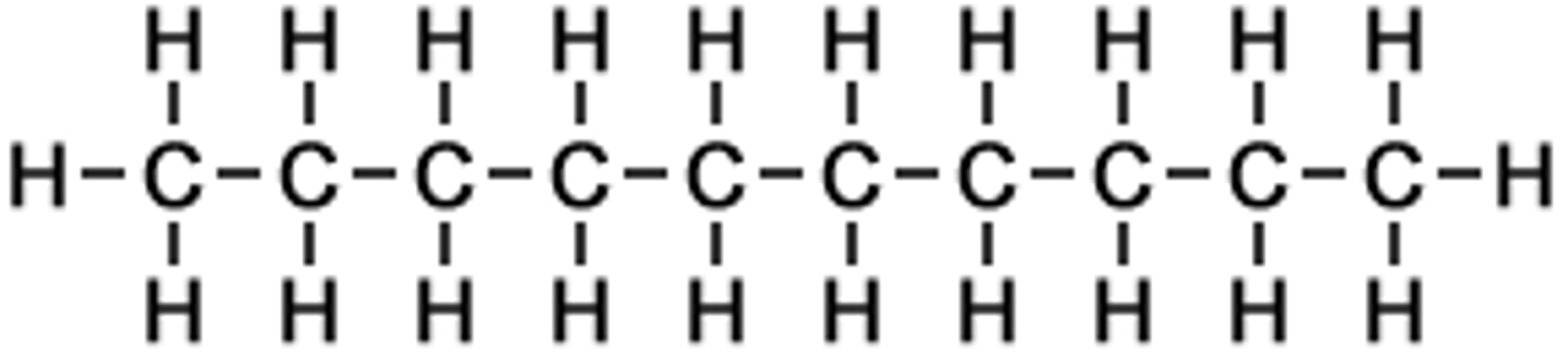 <p>10 carbons</p>