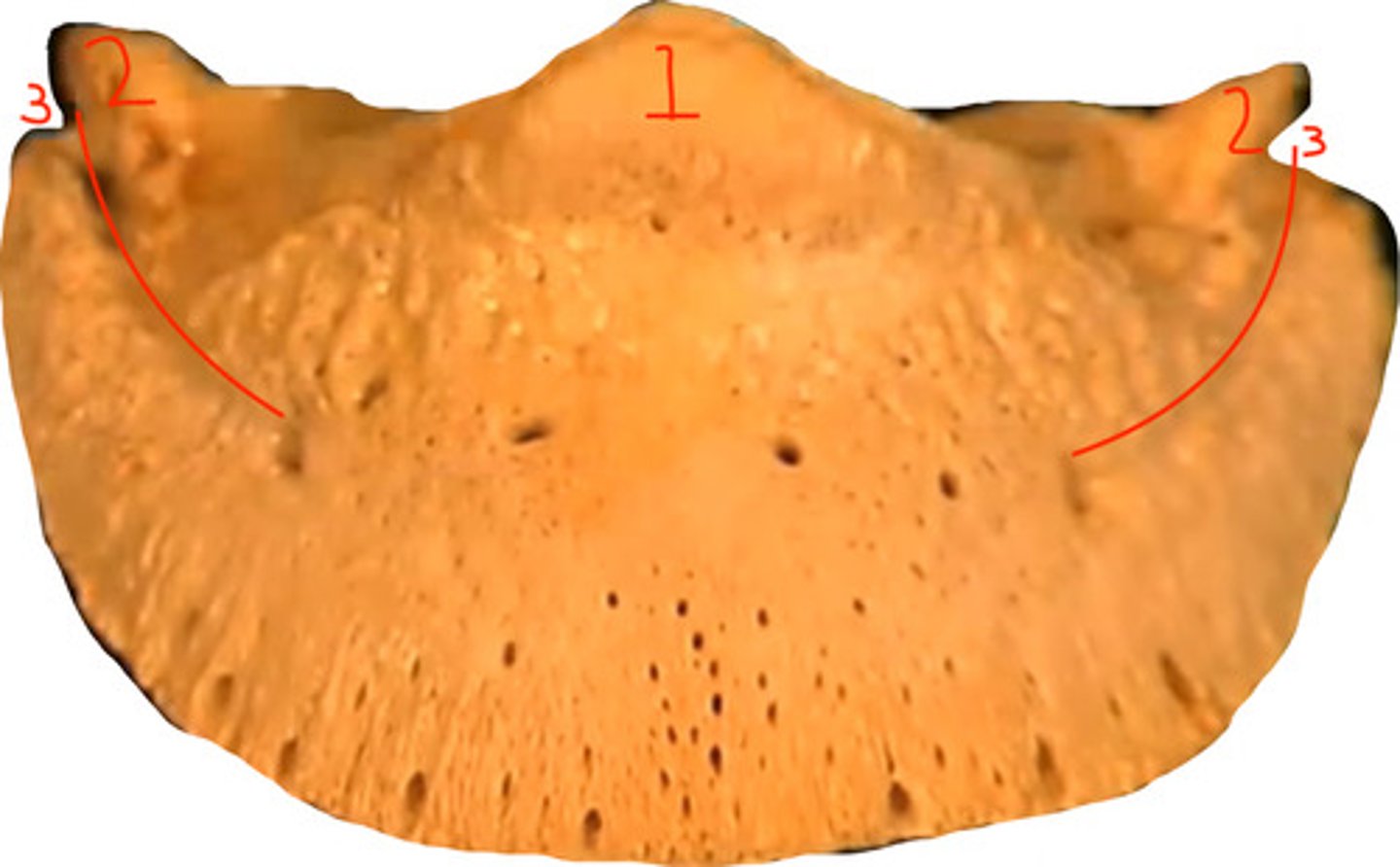 <p>1 is the...</p>