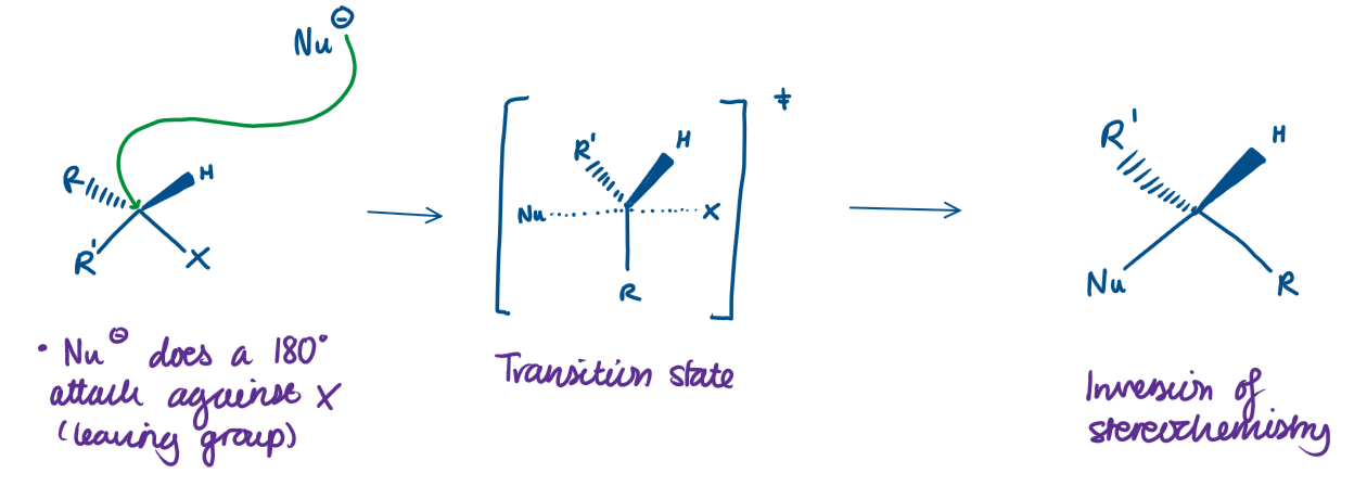 <ul><li><p>Happens in 1 step</p></li><li><p>Strong nucleophile needed</p></li><li><p>Works best with primary carbons</p></li><li><p>Inversion of configuration (the molecule flips like an umbrella)</p></li></ul><p></p>