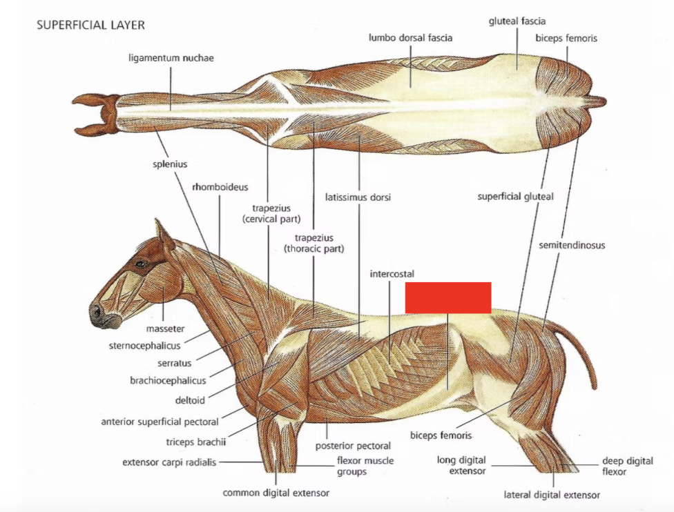 <p>What is this?</p>