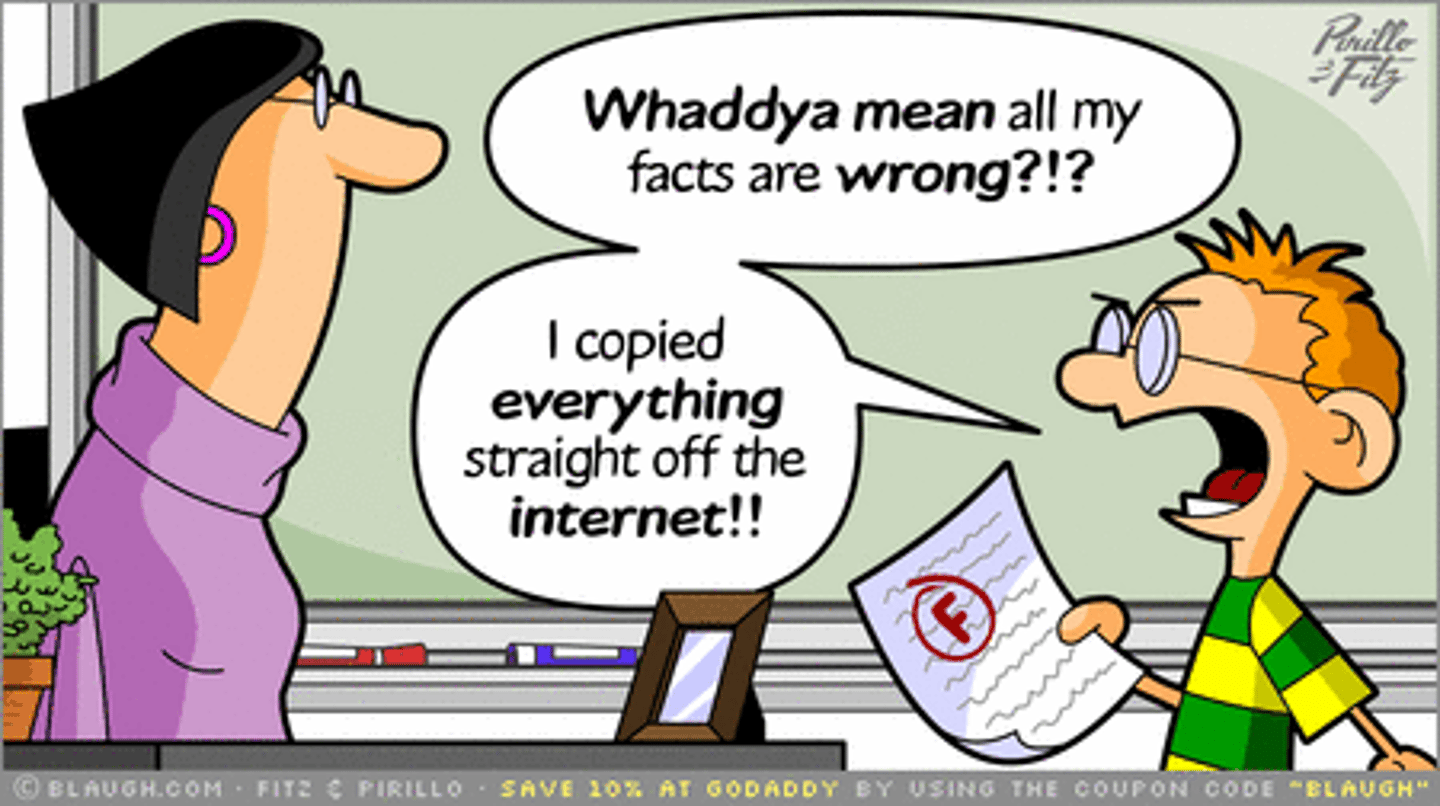 <p>plagiarism</p>