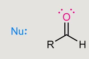 <p>A nucleophilic addition reaction </p>