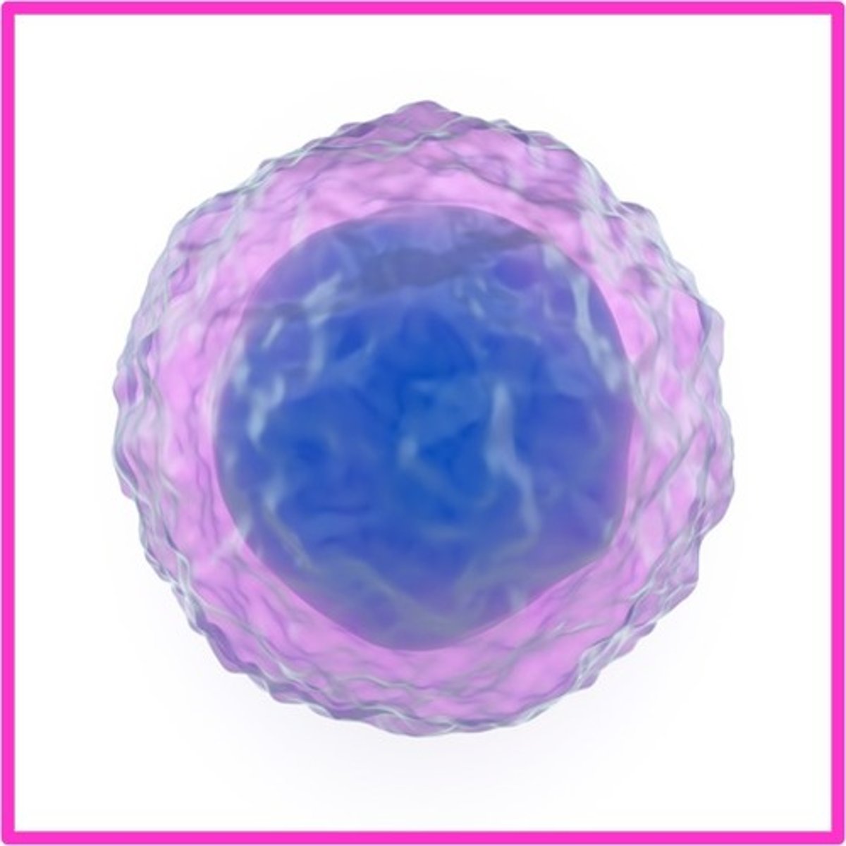 <p>Cytoplasm, cell membrane, ribosomes, DNA as hereditary material, cytoskeleton.</p>