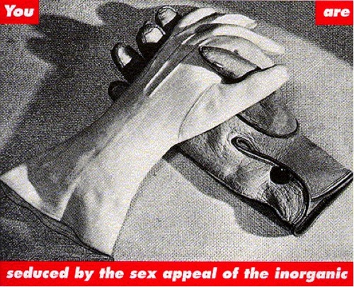 <p>Untitled</p>