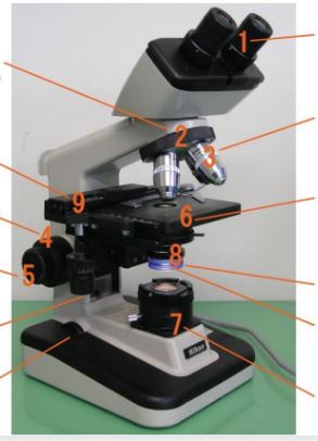 <p>Gathers the light from the microscope's light source and concentrate it into a cone of light that illuminates the specimen</p>