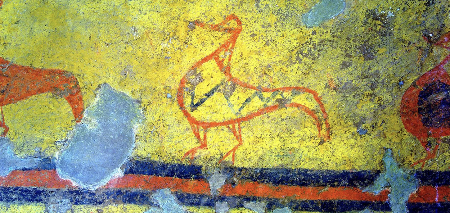 <p>material </p>