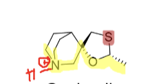 <p>Agonist</p><p>M1/M3 selective</p><p>Crosses membranes while uncharged, then binds agonist as charged</p><p>CYP 2D6</p>