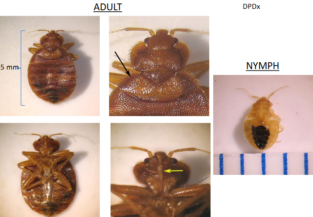 <p>What is this?</p>