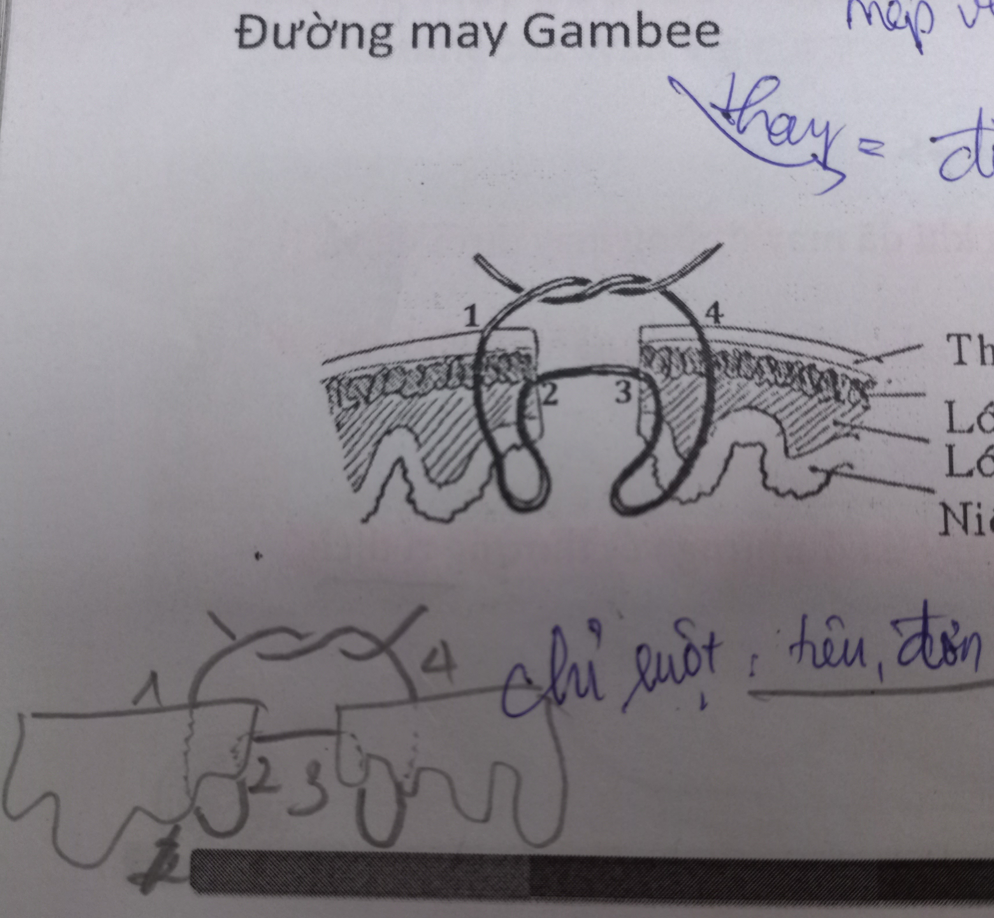 <p>May gambee</p>