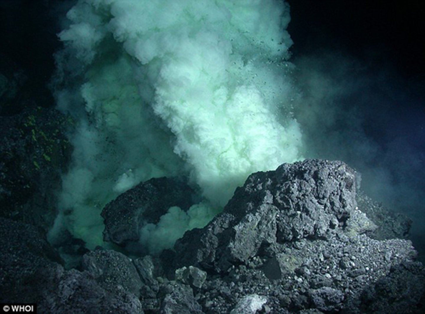 <p>Kingdom of unicellular that live in extremely harsh environments</p>