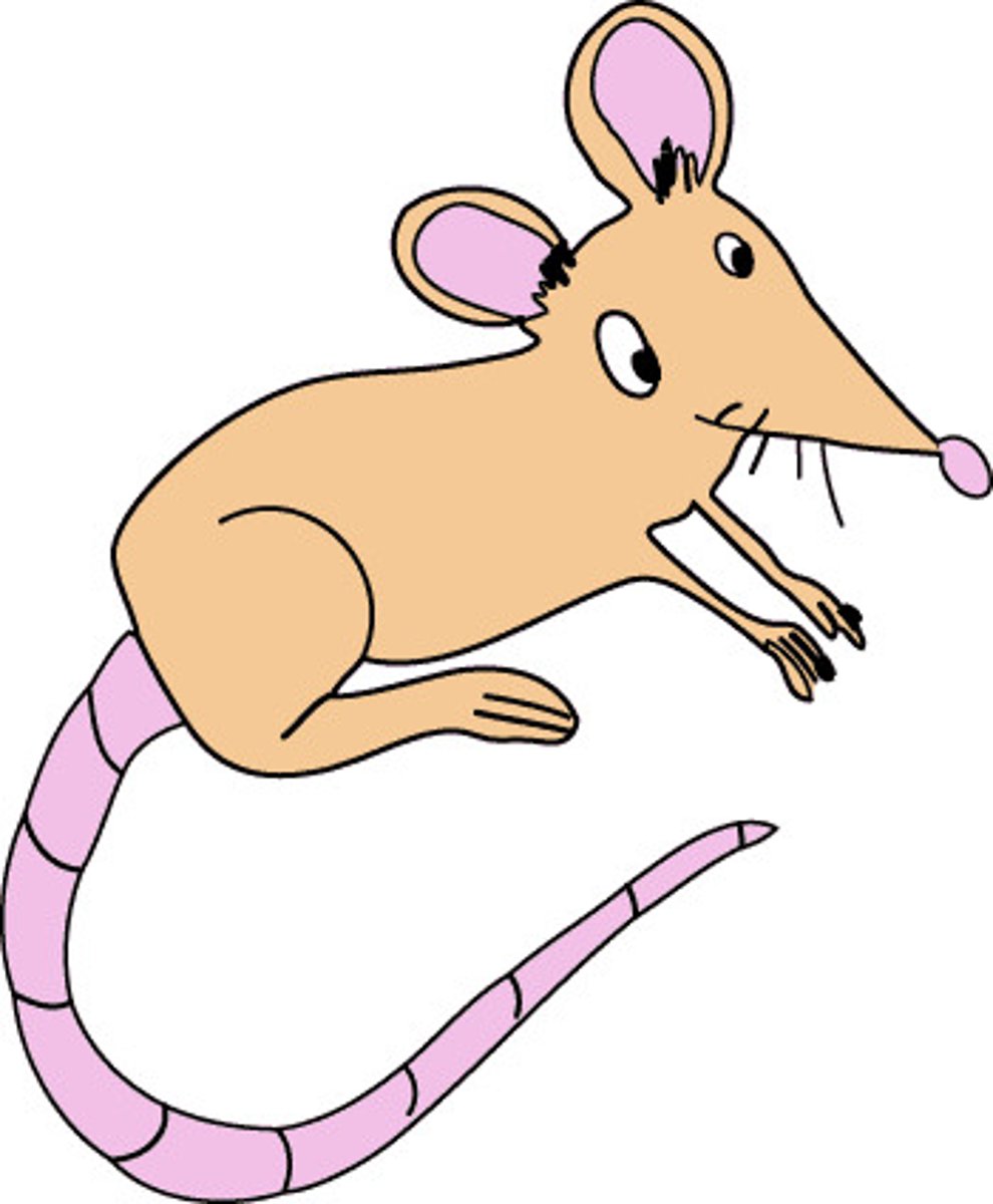 <p>1) Flies coming from meat</p><p>2) Mice coming from rice or grain</p><p>3) Worms falling from the sky</p>