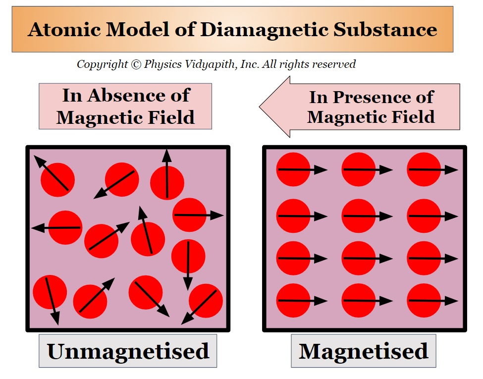 <p>Diamagnetism</p>