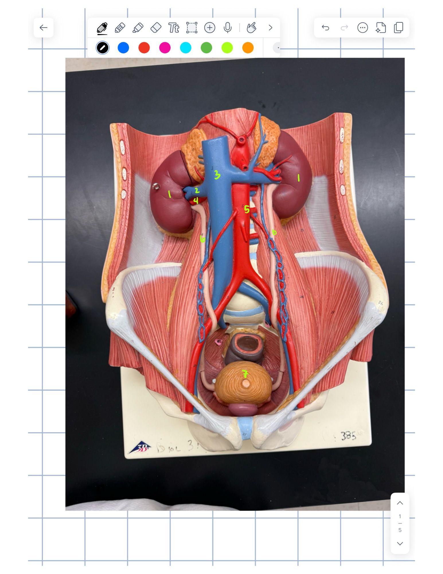 knowt flashcard image
