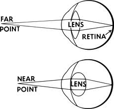 Sensation - the process by which the eye's lens changes shape to focus near or far objects on the retina.