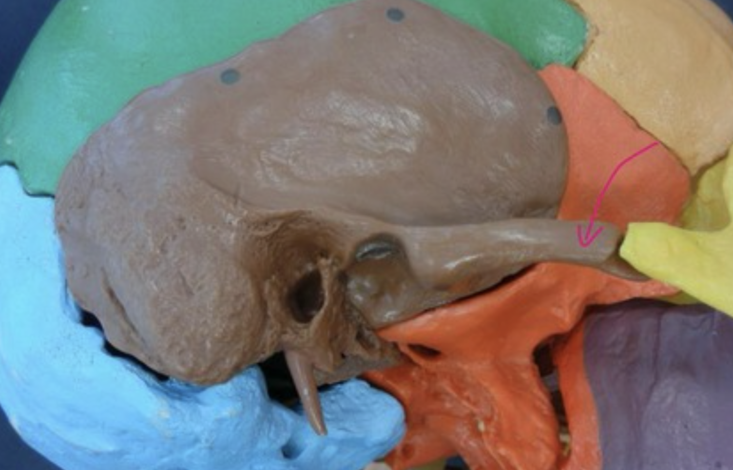 <p>What is this?</p>
