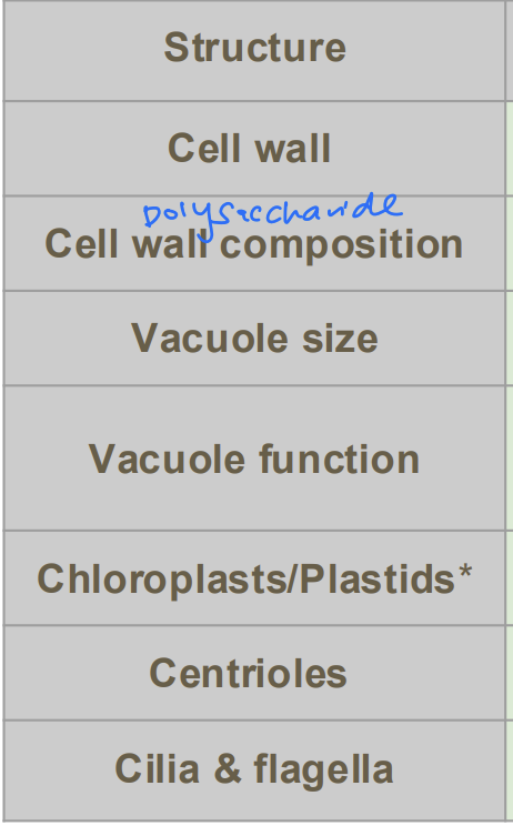 <p>Differences in Eukaryotic Cell Structures? [7]</p><p>A2.2.8—Differences in eukaryotic cell structure between animals, fungi and plants</p>
