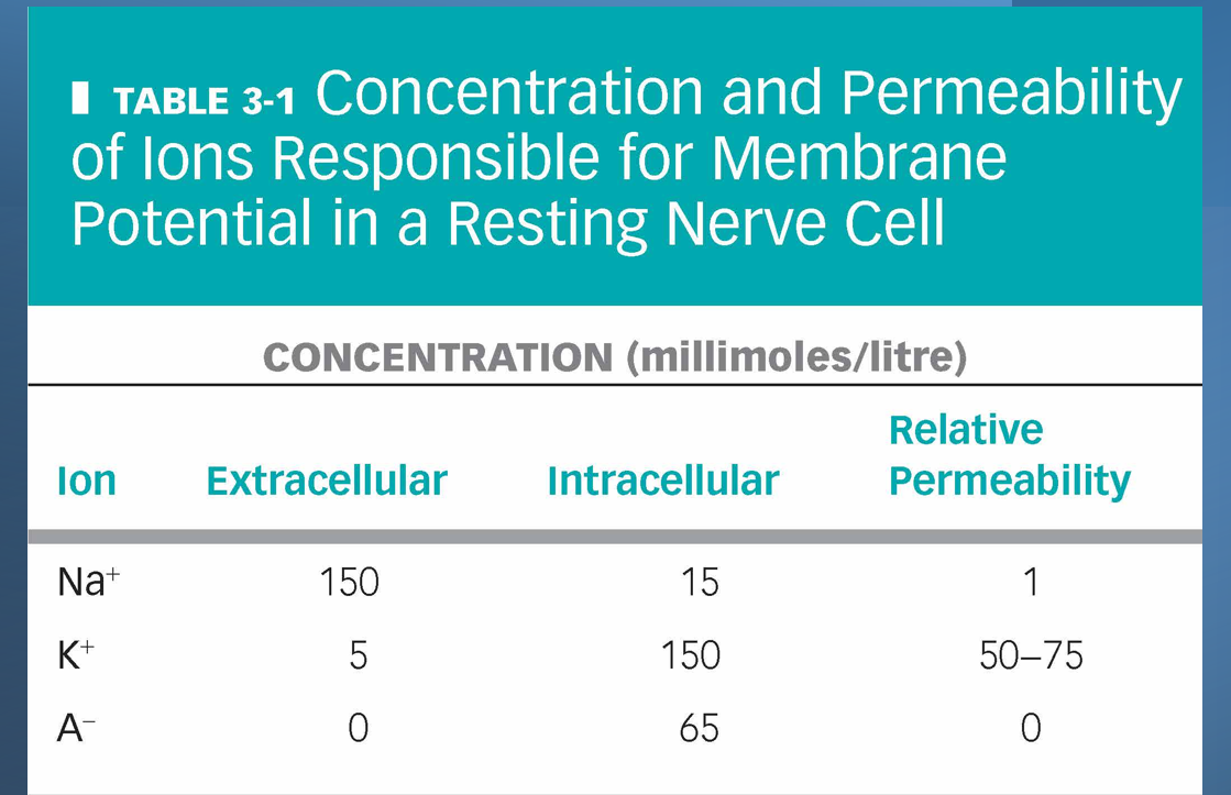 <p><strong>Membrane potetial and the role of Na+ and K+ pump</strong></p>