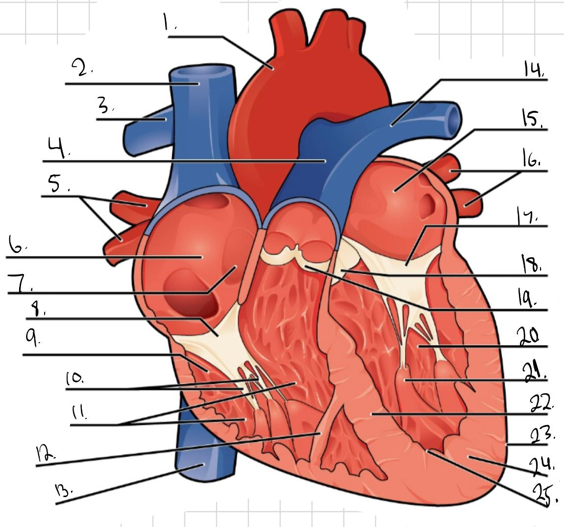 <p>Identity #3 on this image.</p>