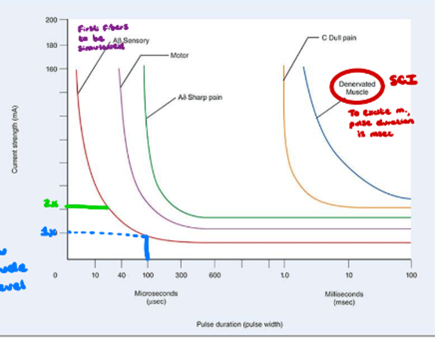 <p>What is clinical application of rheobase?</p>