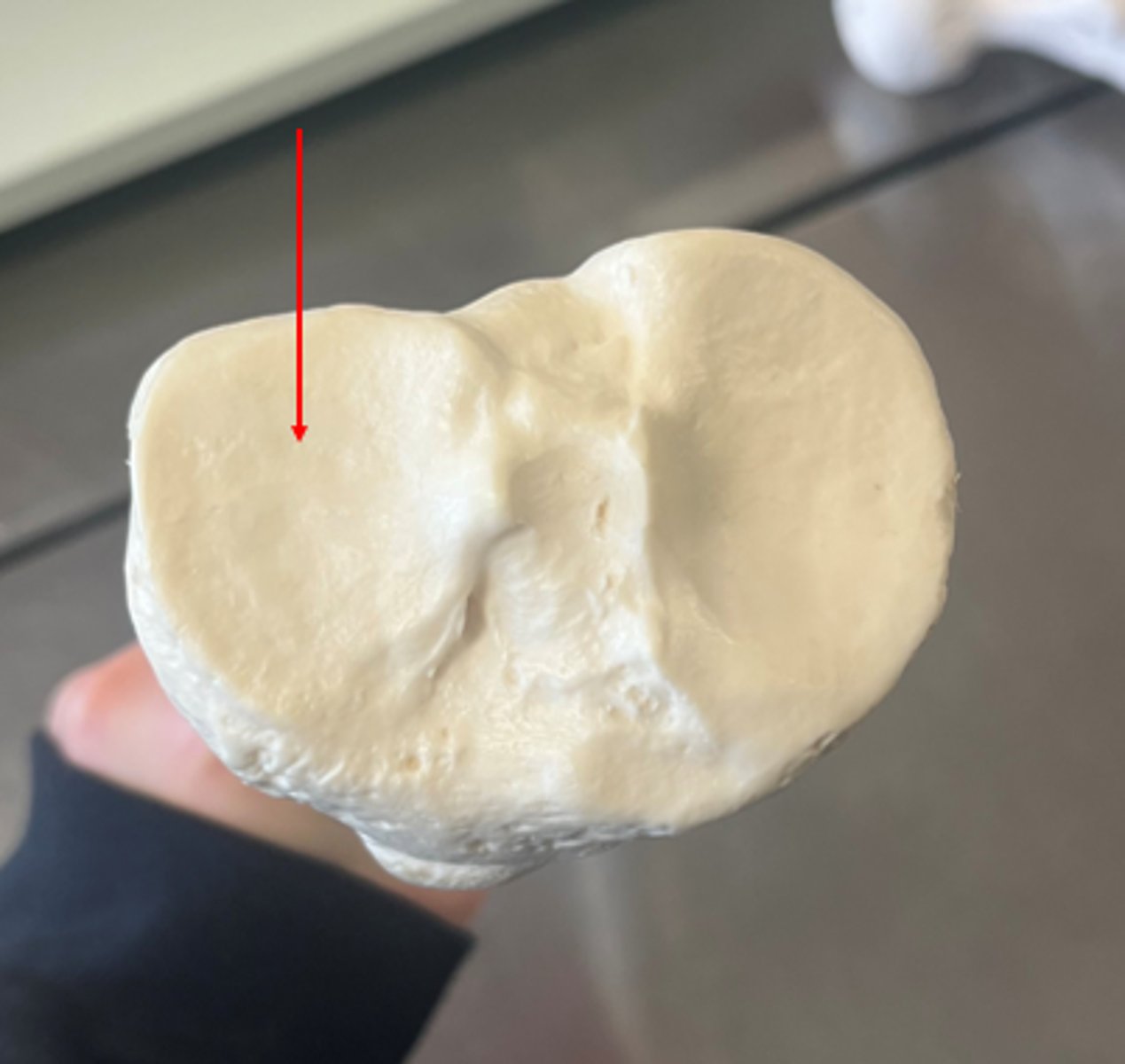 knowt flashcard image