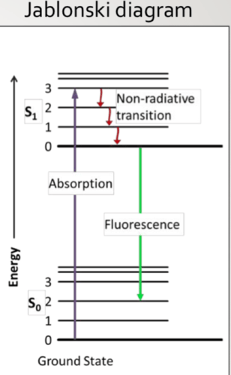 <p>-intensity and duration of exposure</p><p>-temperature</p>