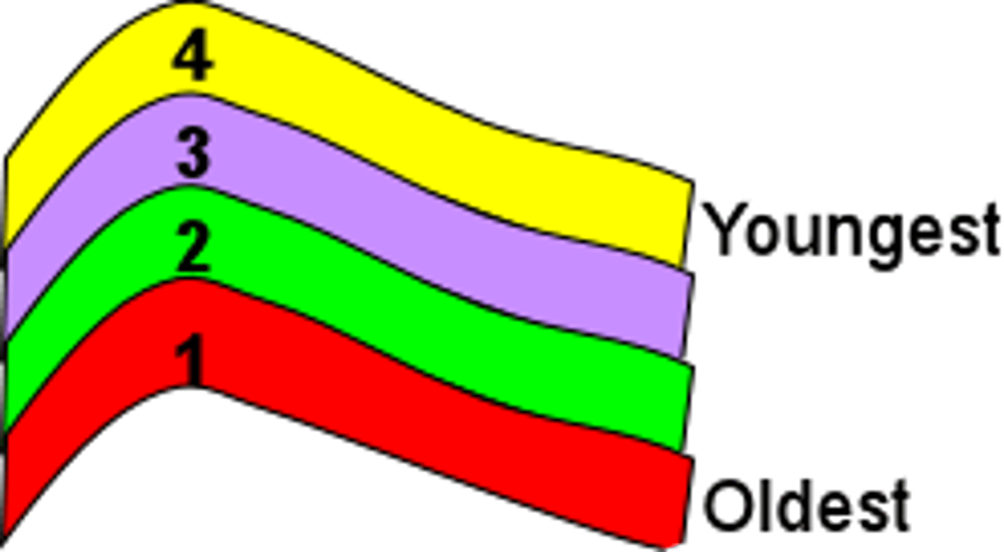 <p>adj. ban đầu</p>