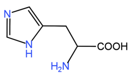 <p></p>