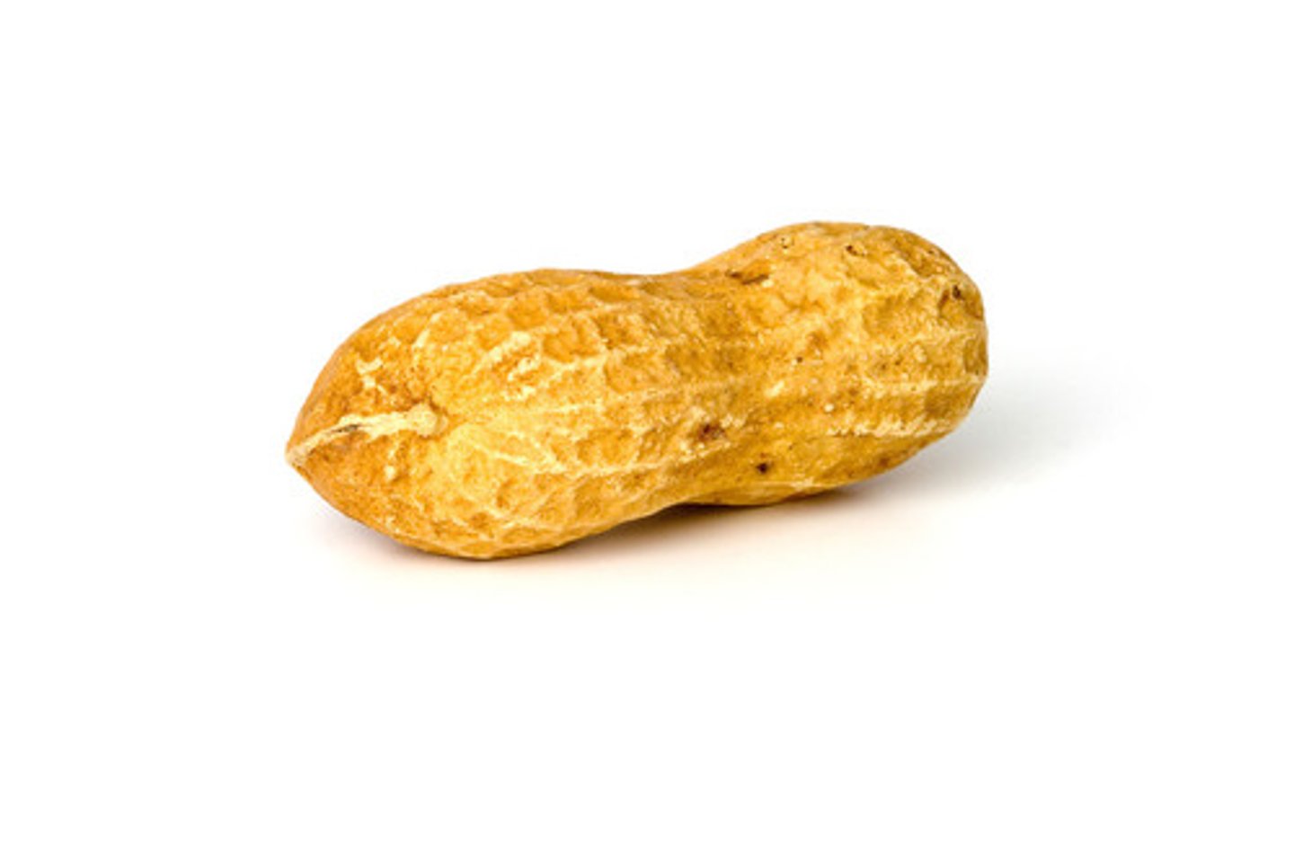 <p>peanut</p>