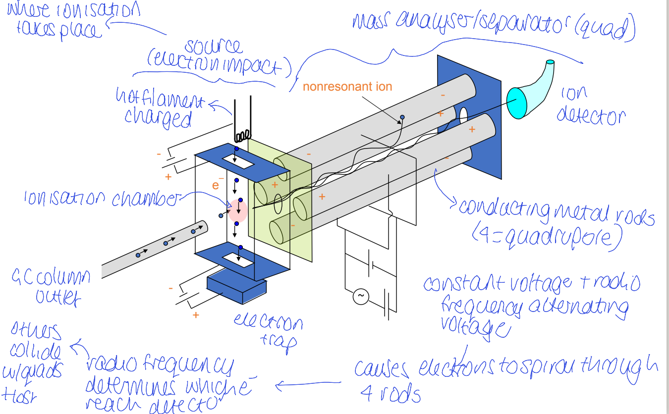 <p>constant voltage and radio freq alternating voltage </p><p>causes electrons to spiral through 4 rods. radio freq determines which electrons reach the detector - others collide with quads and are lost </p>
