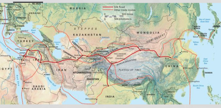 * The map on the next slide represents historical routes linking ancient China to ancient Rome and Western Asia.
* The region separating China from Europe and Western Asia is a very harsh environment.
* Much of the area is taken up by the Taklimakan desert, one of the most hostile environments on our planet.
* There is very little vegetation, and almost no rainfall; sandstorms are very common, and have claimed the lives of countless people.
