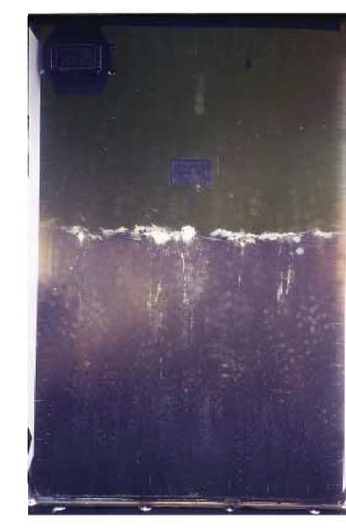 <p>Is this good or bad habitat qualtity </p>