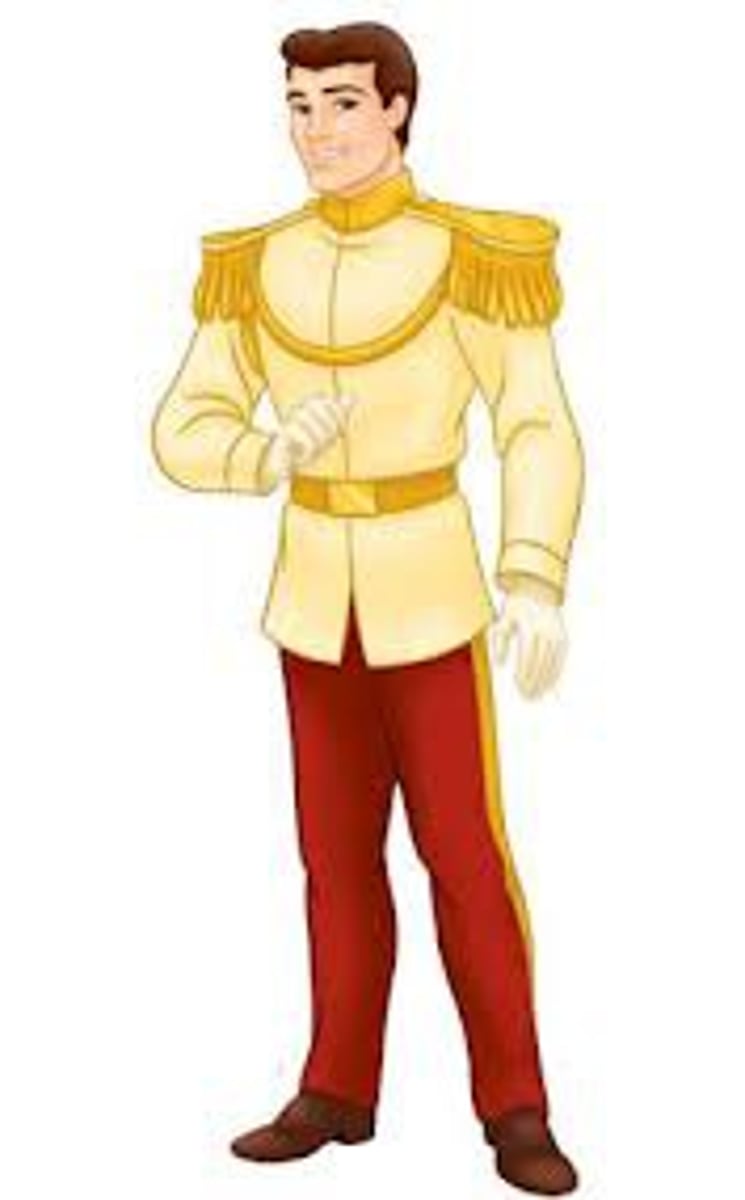 <p>hijo del rey</p>
