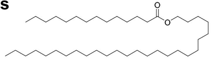<ul><li><p>Complex <strong>mix</strong> of different lipids </p></li><li><p>Each lipid has a simple structure with a <mark data-color="yellow" style="background-color: yellow; color: inherit">single ester</mark></p></li><li><p>Contains <mark data-color="green" style="background-color: green; color: inherit">saturated fatty acids</mark></p></li><li><p>Found in the <mark data-color="yellow" style="background-color: yellow; color: inherit">waterproof coating of organisms </mark></p></li></ul><p></p>