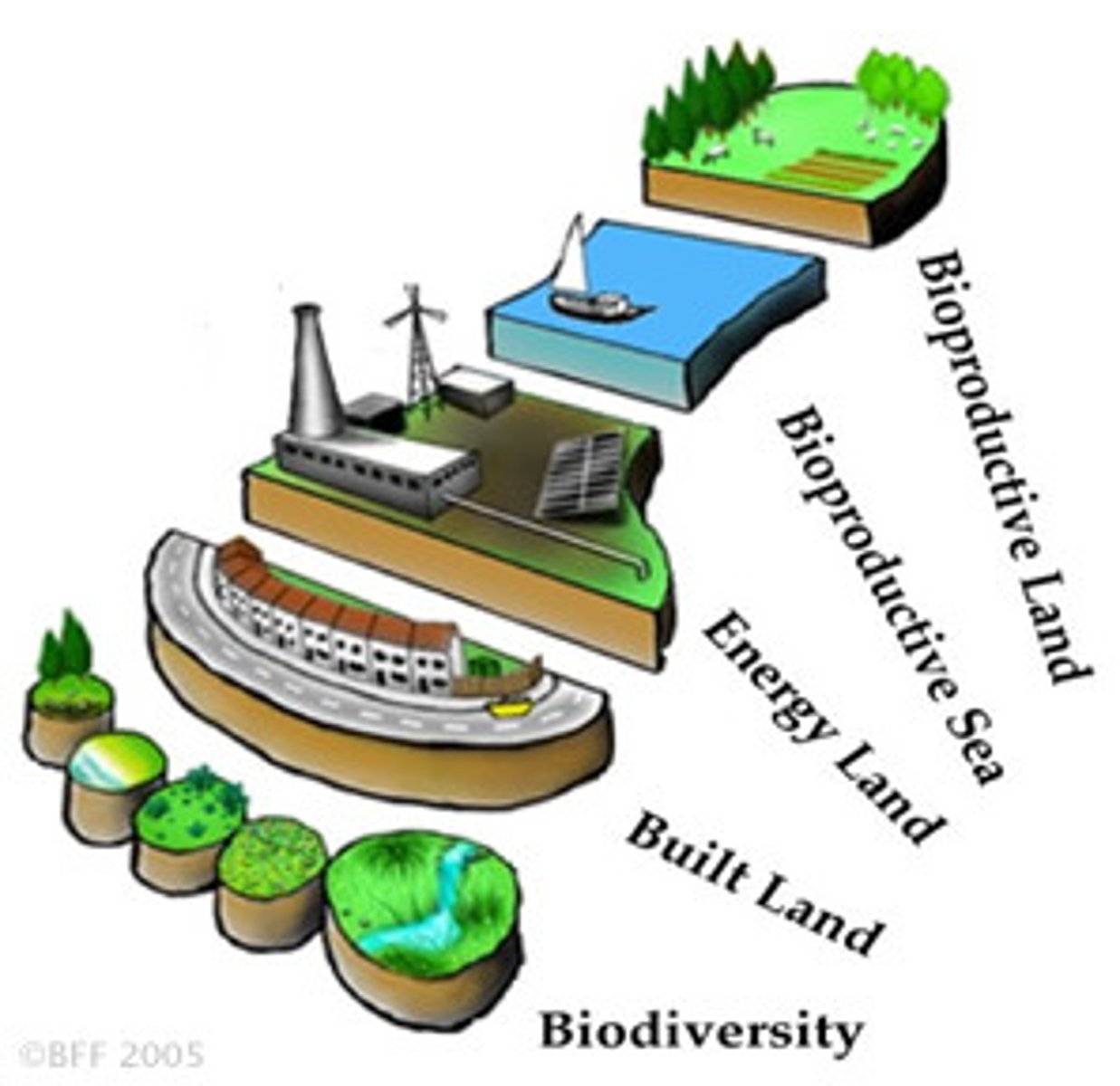 <p>a measure of the area and quality of land and water available to supply a population with resources</p>