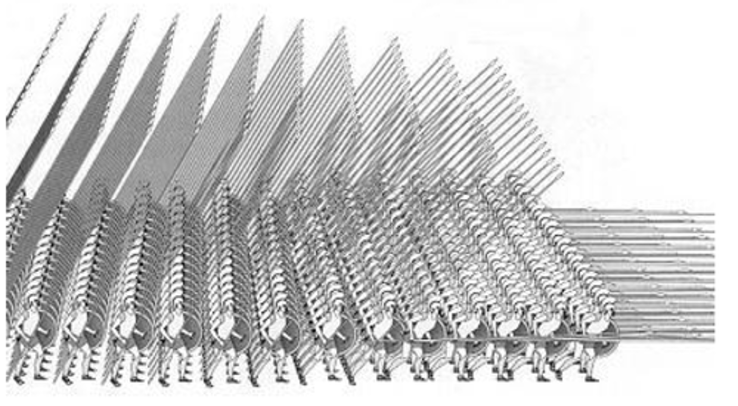 <p>Military formation used by Phillip II of Macedon.</p>