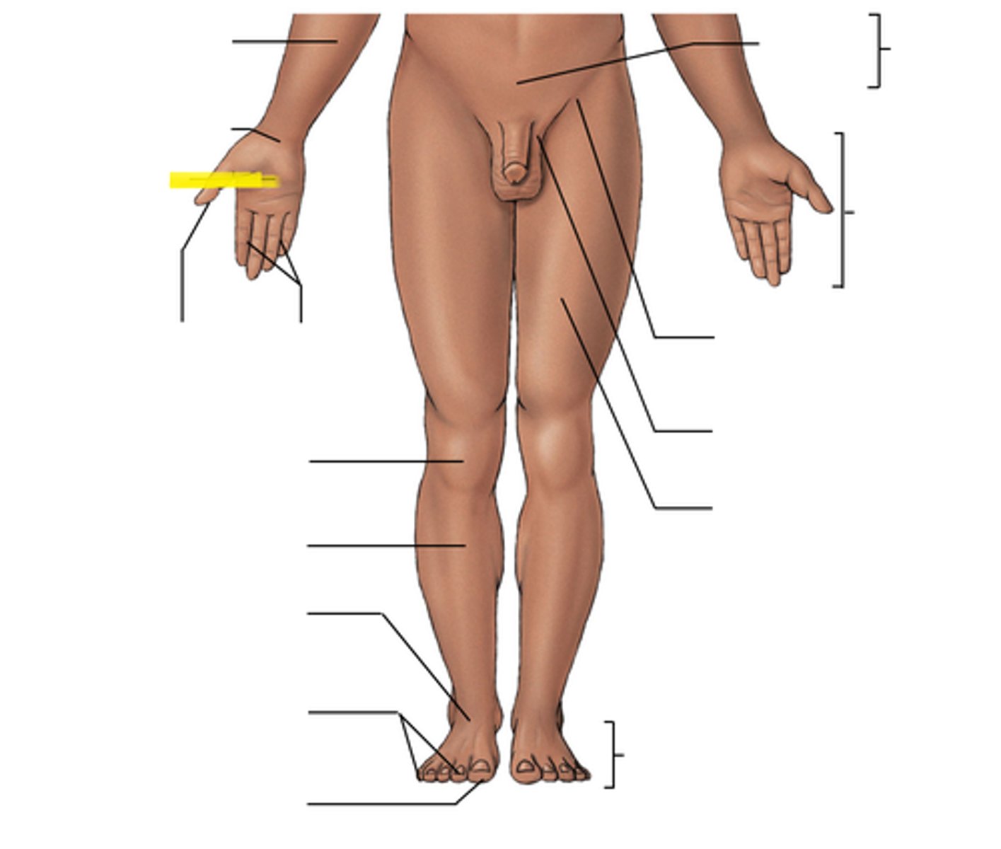 <p>Label the yellow line</p>