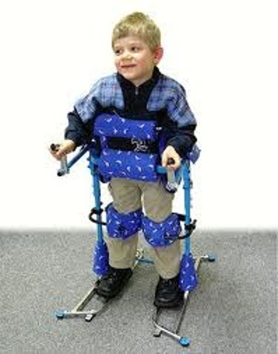 <p>-May use THKAFO or HKAFO for standing</p><p>-Parapodium</p><p>-W/c long term use</p>