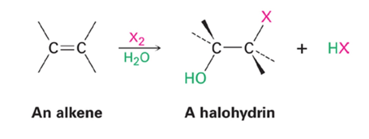 <p>Anti/trans/mark - bromonium</p><p>Alkene + X2 + H2O (DMSO) --&gt; alkane alcohol</p><p>Halogen Nu in first attack, water Nu in second attack; extra deprotonation step)</p>