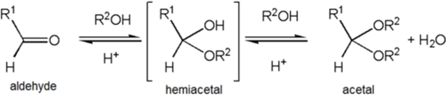 <p>An acetal is a functional group with the following connectivity R2C(OR')2, where both R' groups are organic fragments.</p>