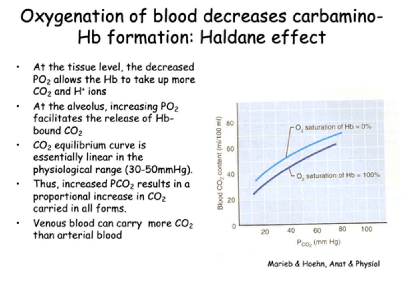 <p>Deoxygenated hemoglobin binds CO2 more readily</p>