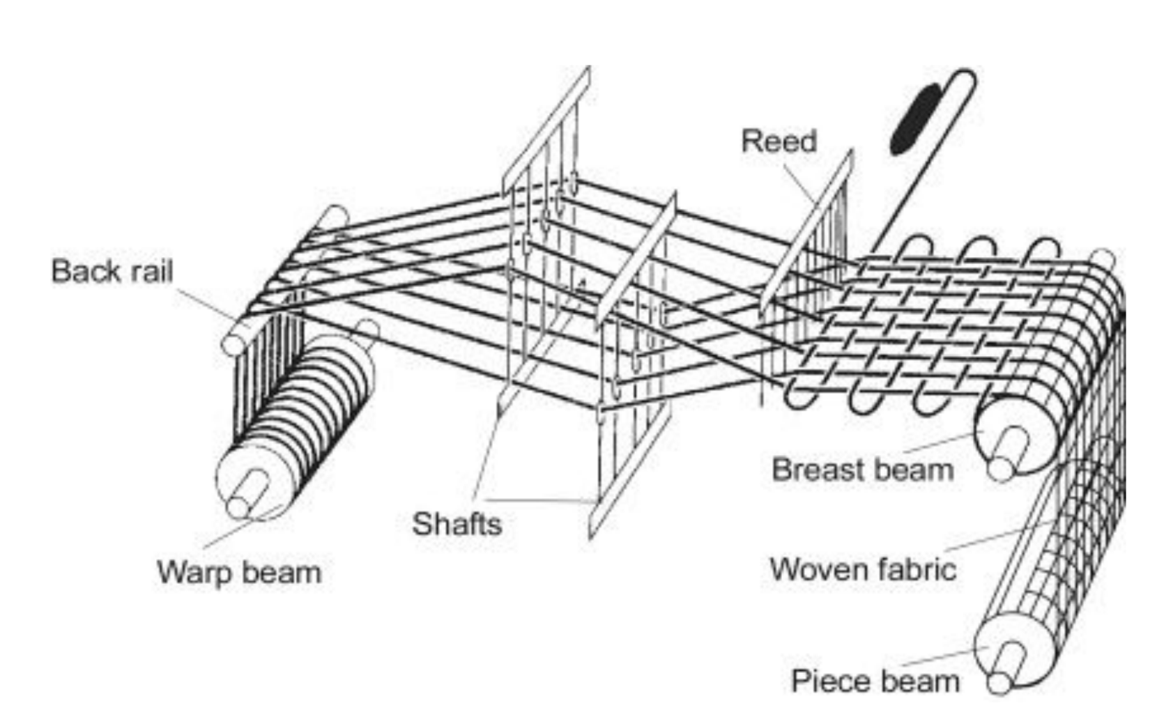 <p>Named that because the first were made from reeds</p>
