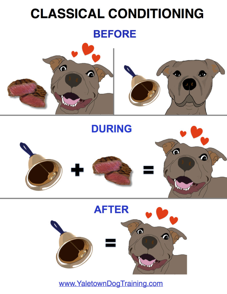 <p><strong><u>I. History and Its Approaches</u></strong></p><p><strong>John B. Watson’s </strong>Little Albert experiment (which taught a baby to be scared of furry things) showed that we learn from experiences and that we’re born with a blank slate</p><p><strong>Ivan Pavlov</strong> classically conditioned dogs to salivate every time they heard a bell because they associated the sound of the bell with feeding time.</p>