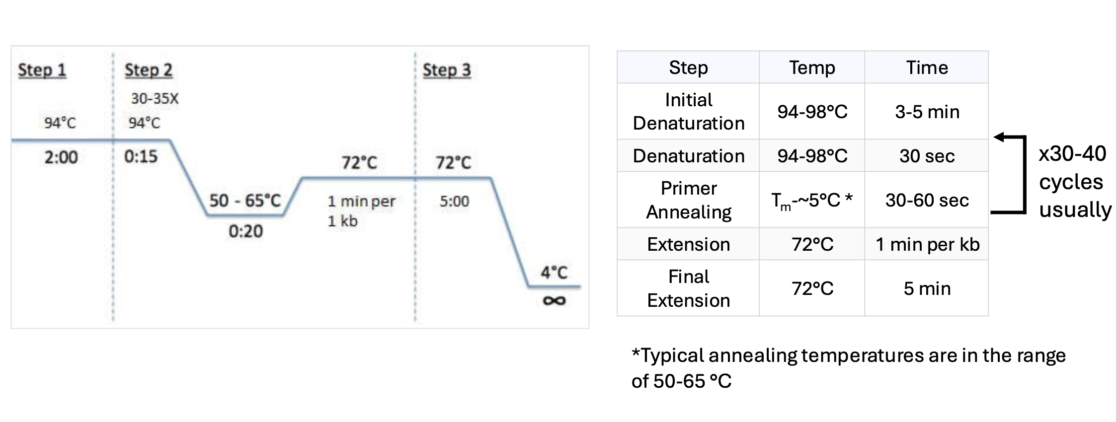 <ol><li><p>keep temp around 95 to 98 deg C at first for around 2 mins so dsDNA breaks apart</p></li><li><p>reduce temp (to around 50-65 C) for around 20 secs so primers can bind</p></li><li><p>inc temp again to around 68-72 deg C so polymerase can bind and extend off primer</p></li></ol><p></p><p>repeat around 30-40 times</p><ul><li><p>dec temp to around 4 C when done</p></li></ul><p></p>
