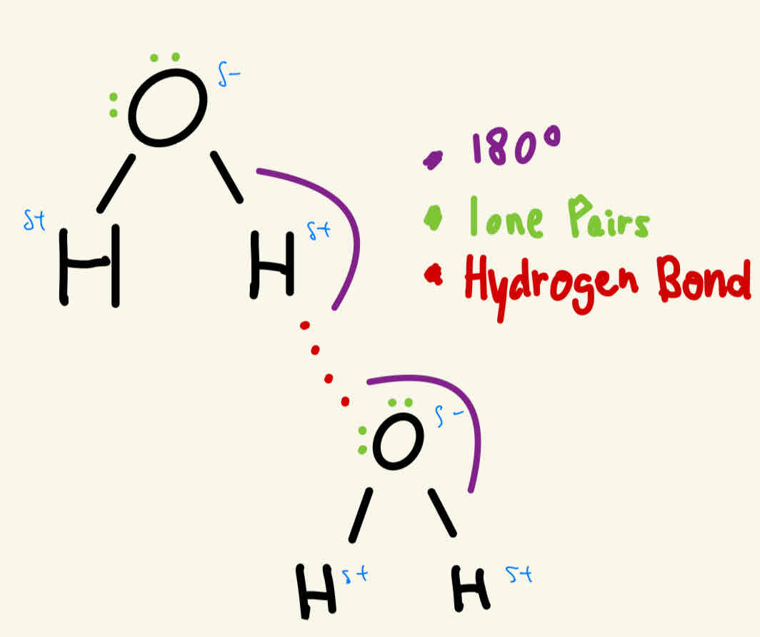 <p>HF / H2O / NH3  —&gt; always have a hydrogen bond </p>