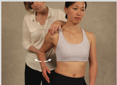 <p><strong><em>General Rotator Cuff Test</em></strong></p><p>palpate rotator cuff tendons while moving elbow in IR/ER</p>