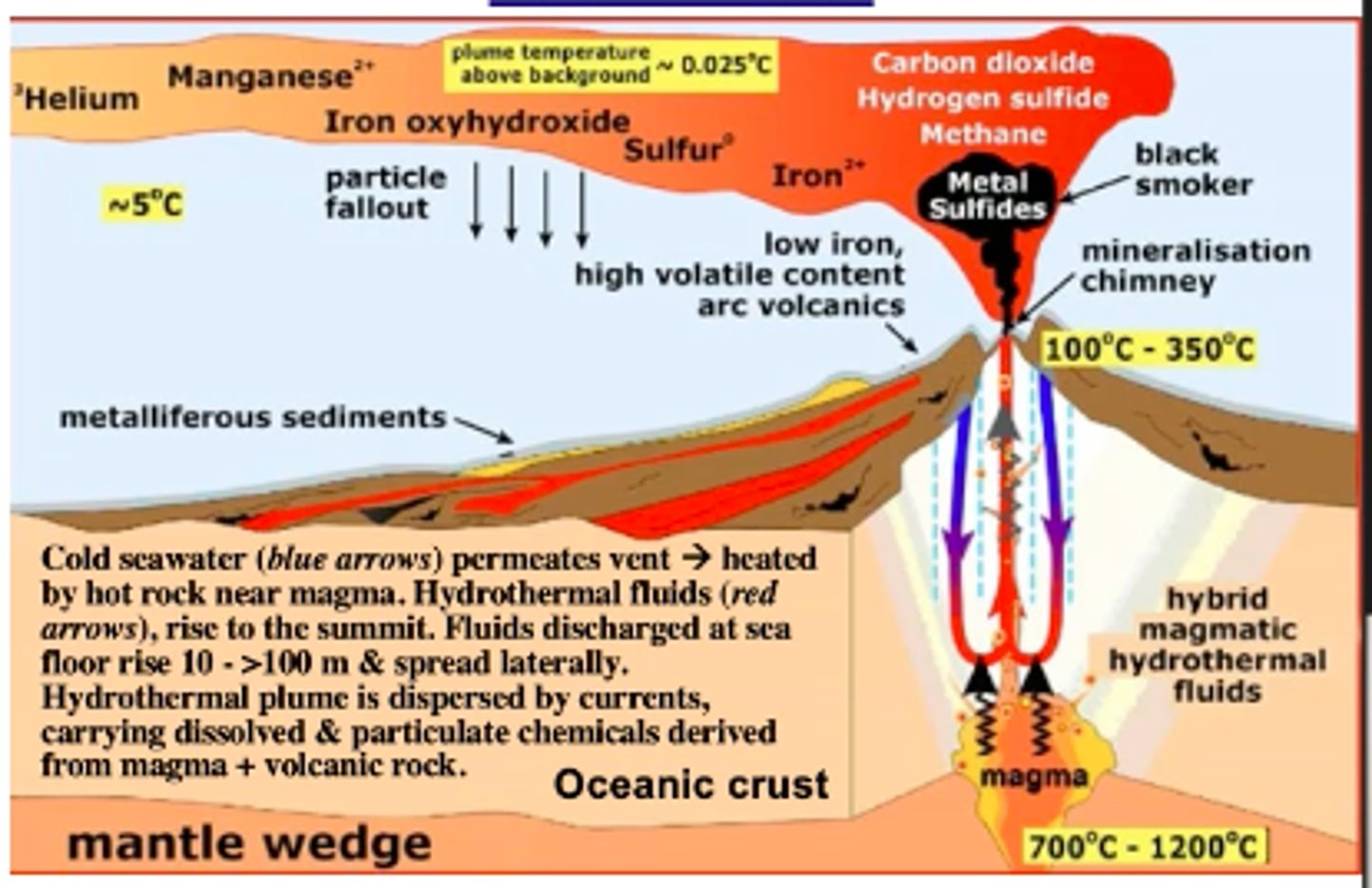 <p>· No</p><p>- Altho, they do provide many gases/minerals that bacteria & archaea can use to sustain themselves</p><p>· They are very hot & acidic which can hinder the development of simple life</p>