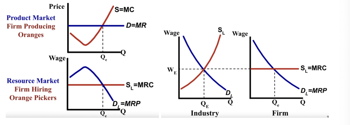 <p>perfectly elastic (notice D is horizontal in product market and MR<strong>P </strong>= D)</p>