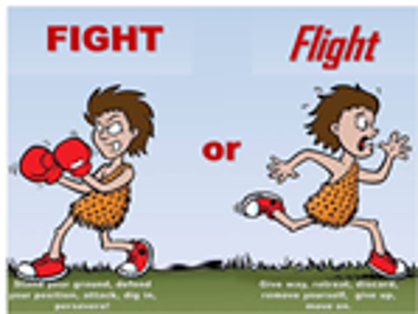<p>Fight or flight</p>