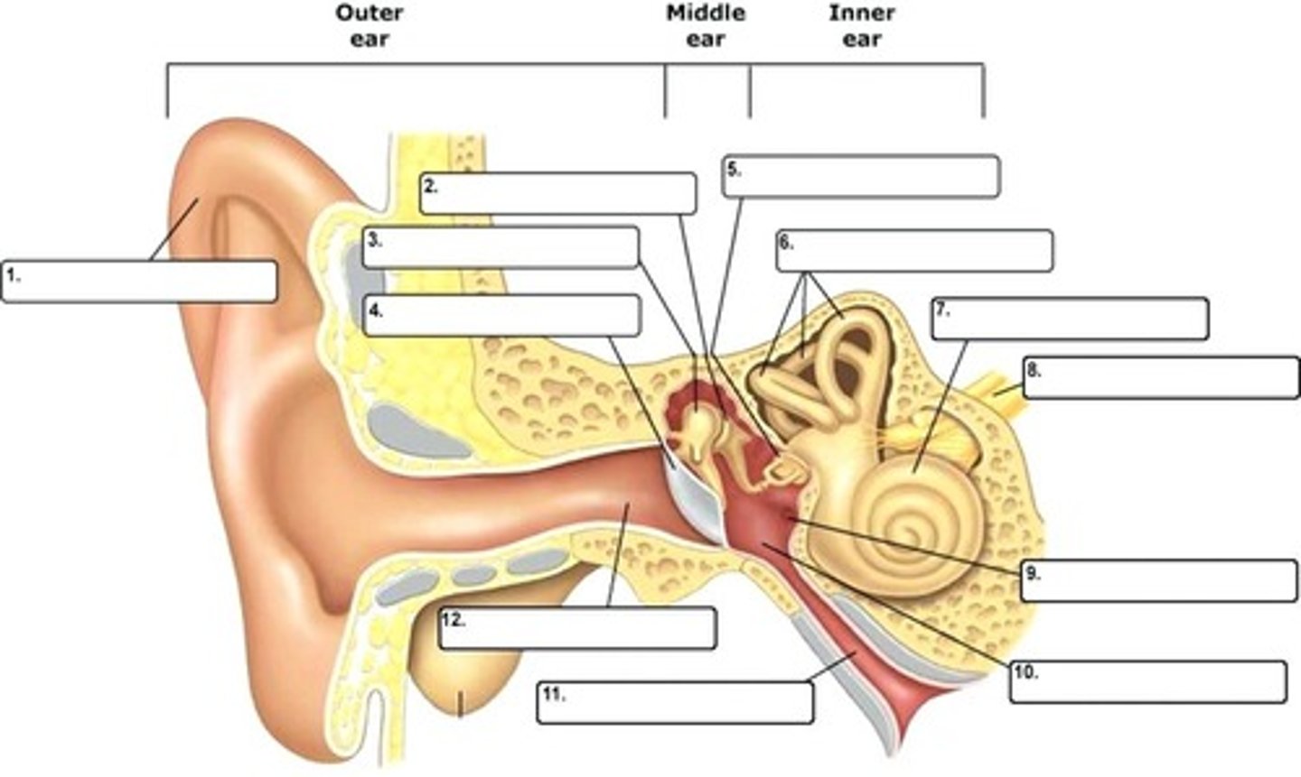<p>What is 9?</p>