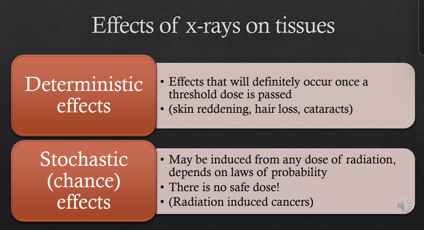 <p>deterministic vs stochastic effects </p>